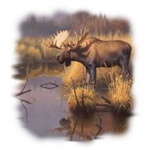 лос